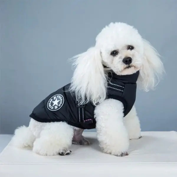 HundJackan™ | Skyddar mot regn, vind och kyla.