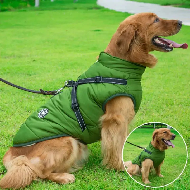 HundJackan™ | Skyddar mot regn, vind och kyla.