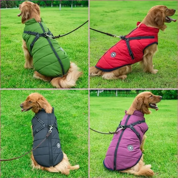 HundJackan™ | Skyddar mot regn, vind och kyla.