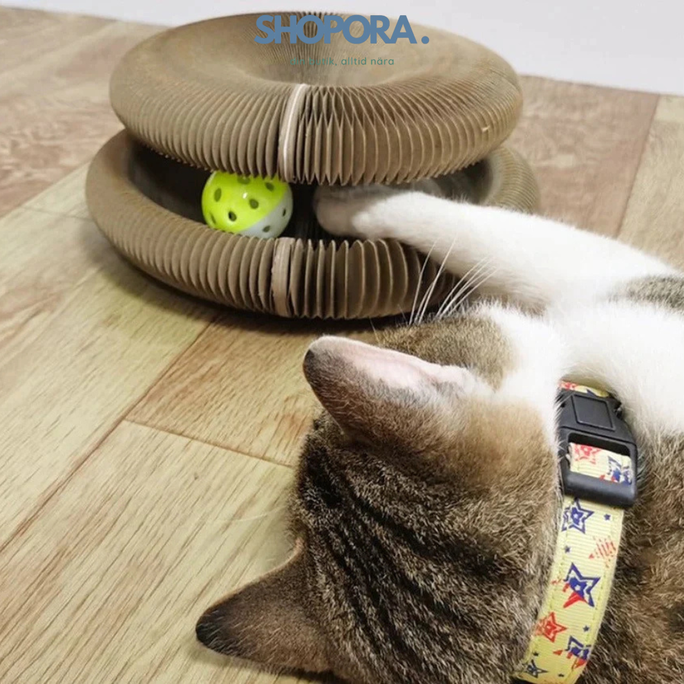 KlösLek™ |  Aktiv. Glad. Katt.