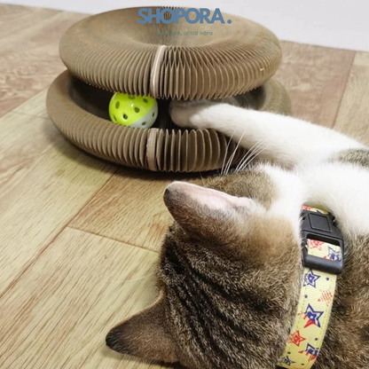 KlösLek™ |  Aktiv. Glad. Katt.