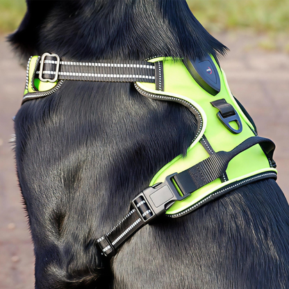 Safety Dog™ | Original LED-hundsele