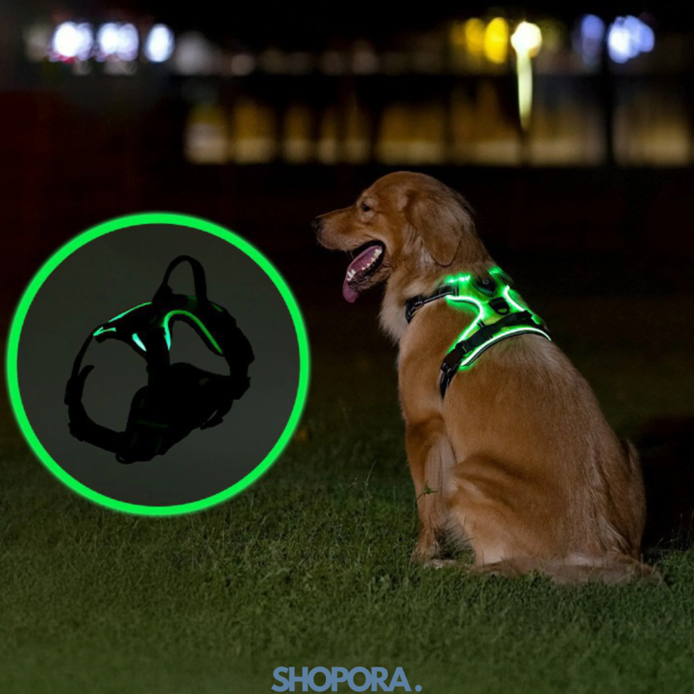Safety Dog™ | Original LED-hundsele