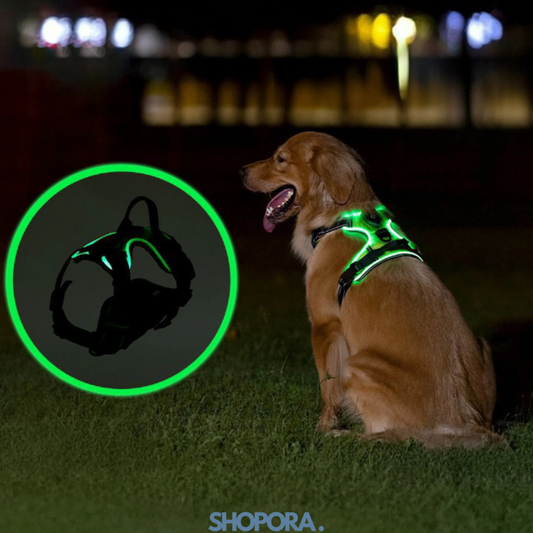 Safety Dog™ | Original LED-hundsele