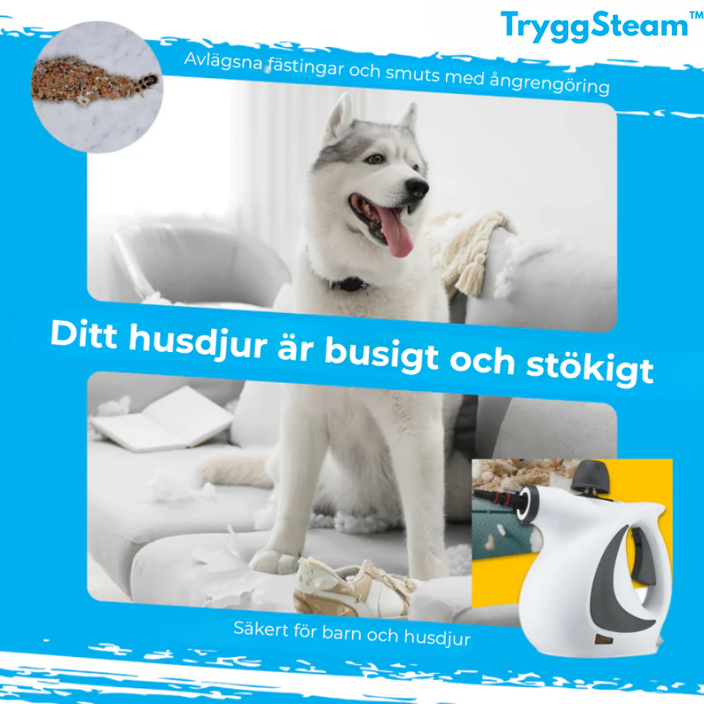 TryggSteam™ | Städa Rent – Utan Kemikalier. Bara Ånga.