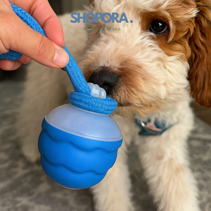 ElRasBollen™ – Interaktivt Hundeleksak