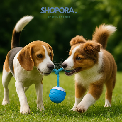 ElRasBollen™ – Interaktivt Hundeleksak
