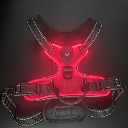 Safety Dog™ | Original LED-hundsele