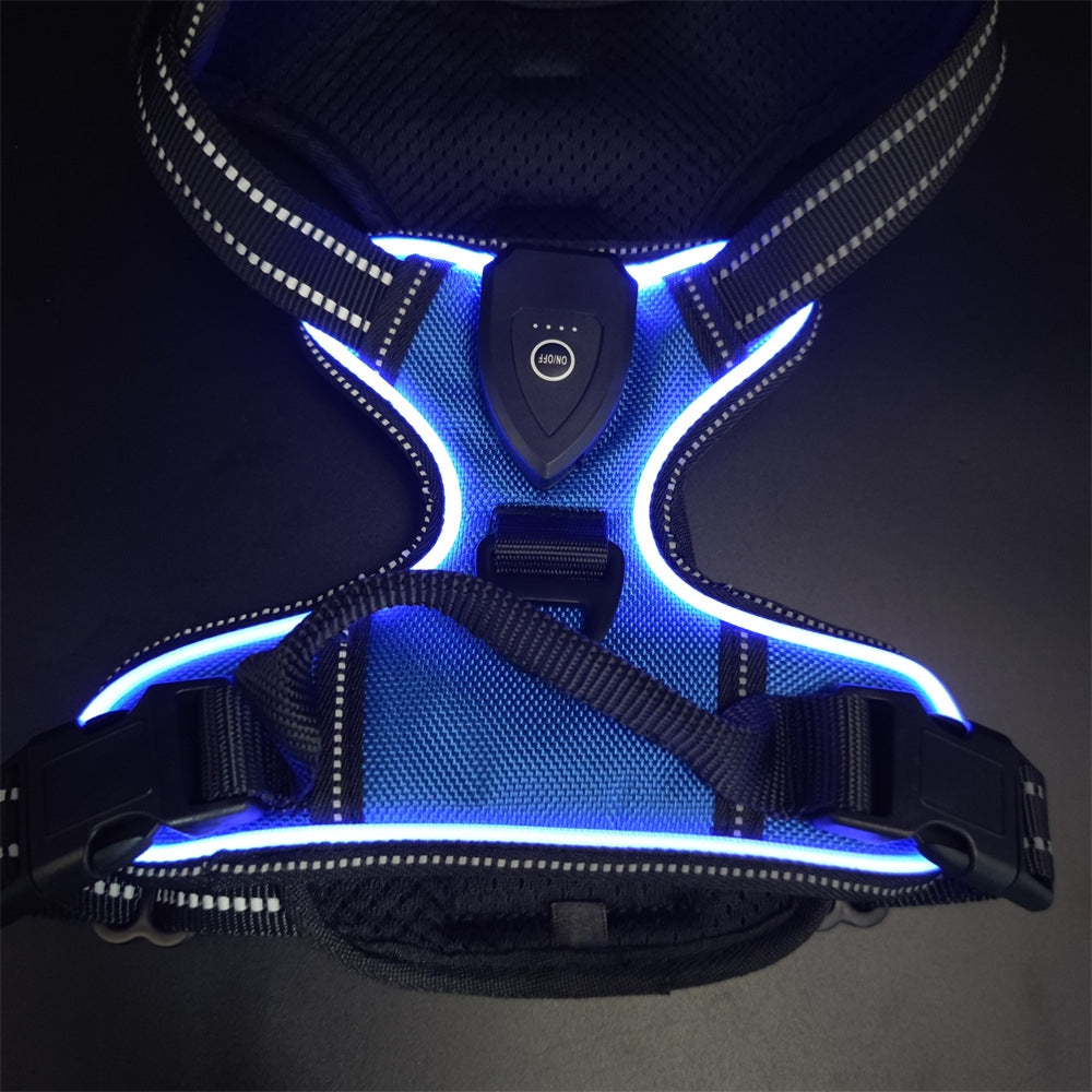 Safety Dog™ | Original LED-hundsele