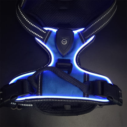 Safety Dog™ | Original LED-hundsele