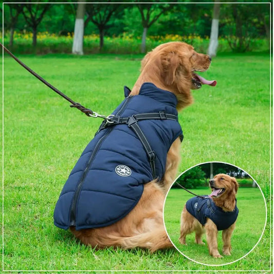 HundJackan™ | Skyddar mot regn, vind och kyla.
