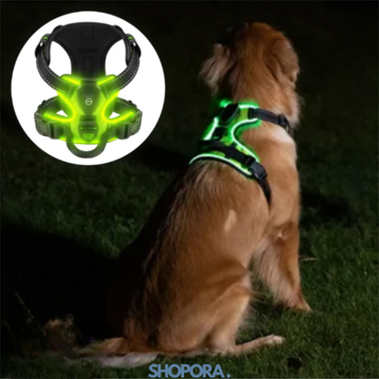 Safety Dog™ | Original LED-hundsele