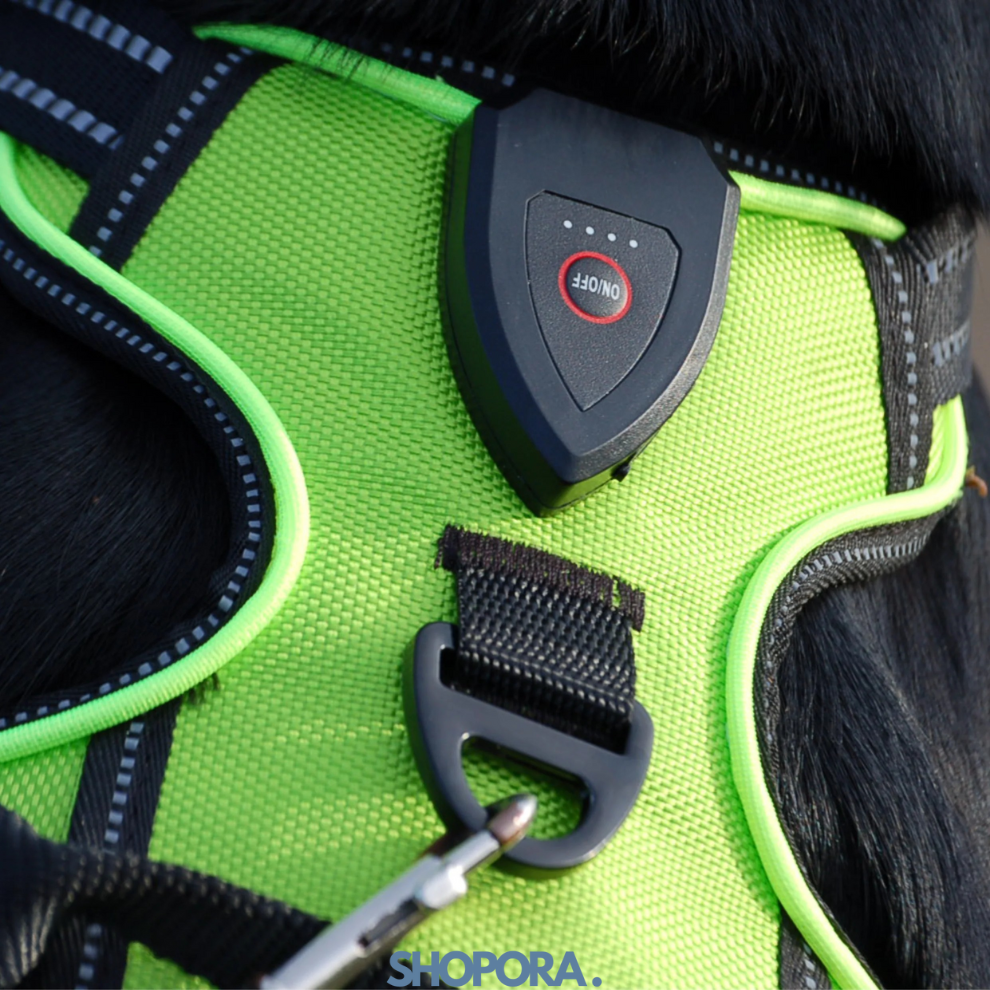 Safety Dog™ | Original LED-hundsele