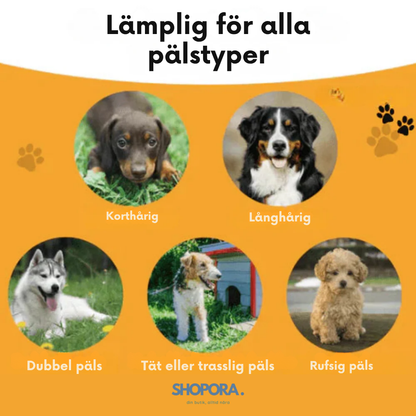 FurMaster™ | För Varje Päls.