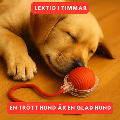 SnurrBoll™ | Det smarta sättet att lugna din hund på ett naturligt sätt