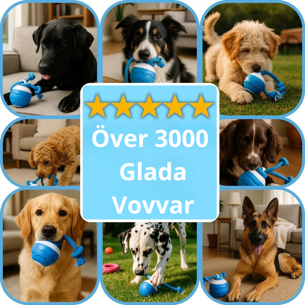 ElRasBollen™ – Interaktivt Hundeleksak