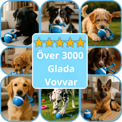 ElRasBollen™ – Interaktivt Hundeleksak