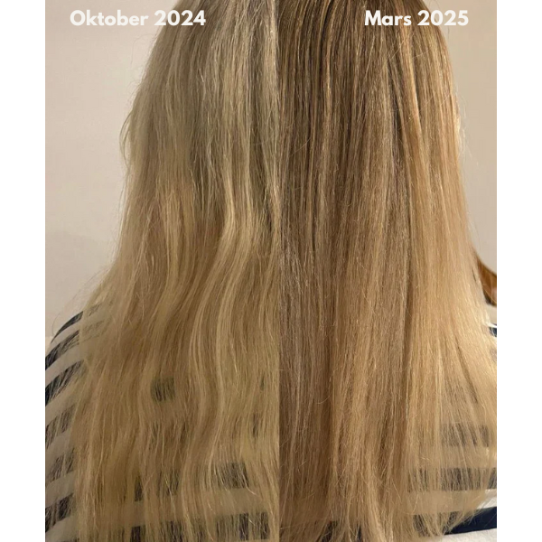 SilkKrona™ | Skydda. Återfukta. Glans.