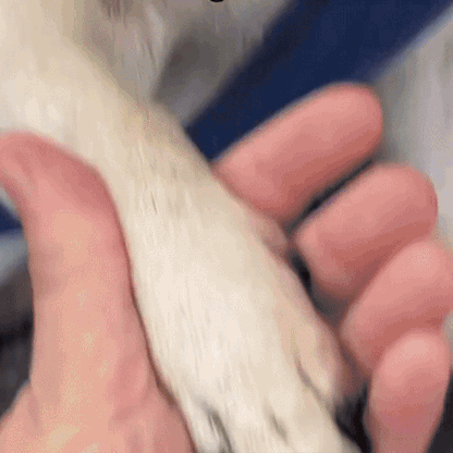 TryggTrim™ | Säker. Tyst. Trygg.