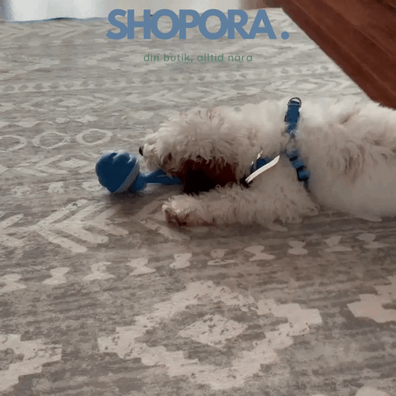 ElRasBollen™ – Interaktivt Hundeleksak