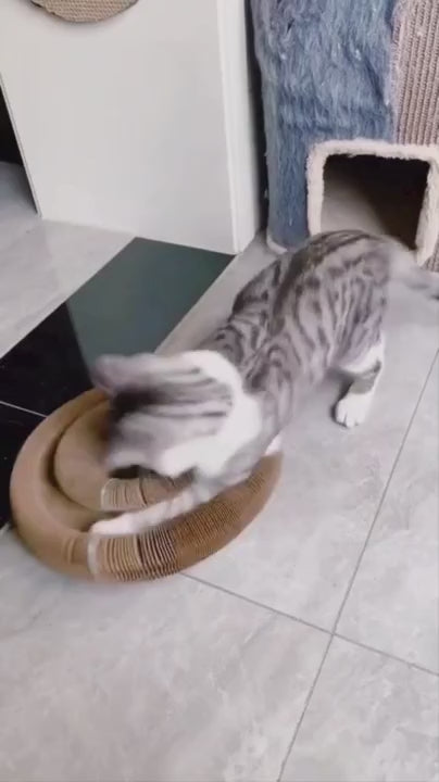 KlösLek™ |  Aktiv. Glad. Katt.