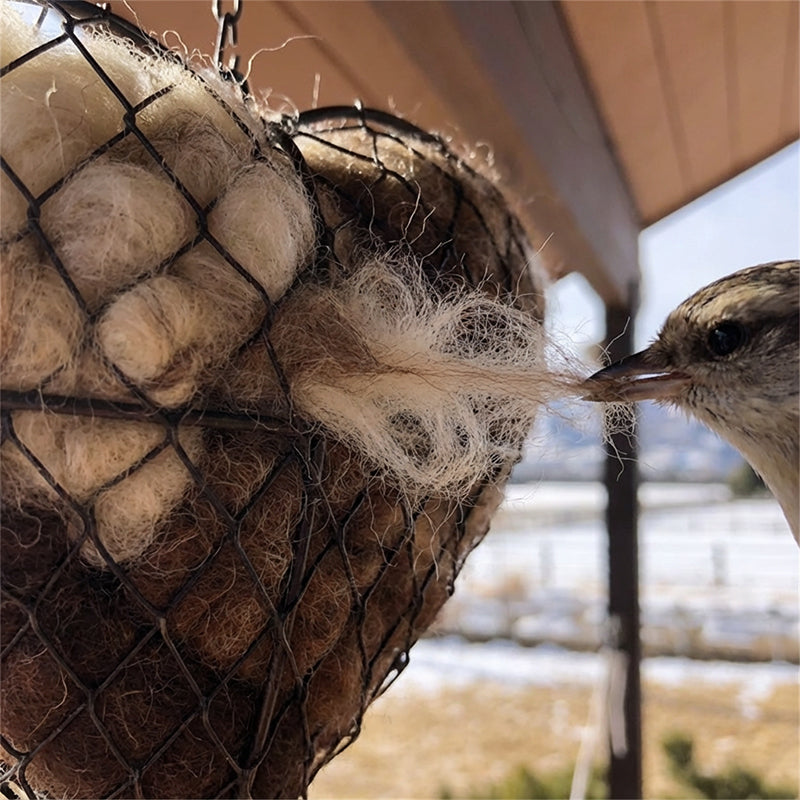 Fågelhjärta™🕊️ | Naturligt bohjälpmedel